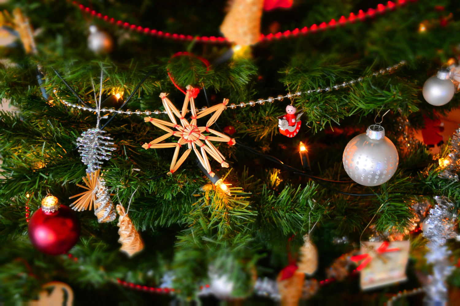 Season of Style: Christmas Collection by Novara Shop - Novara Shop