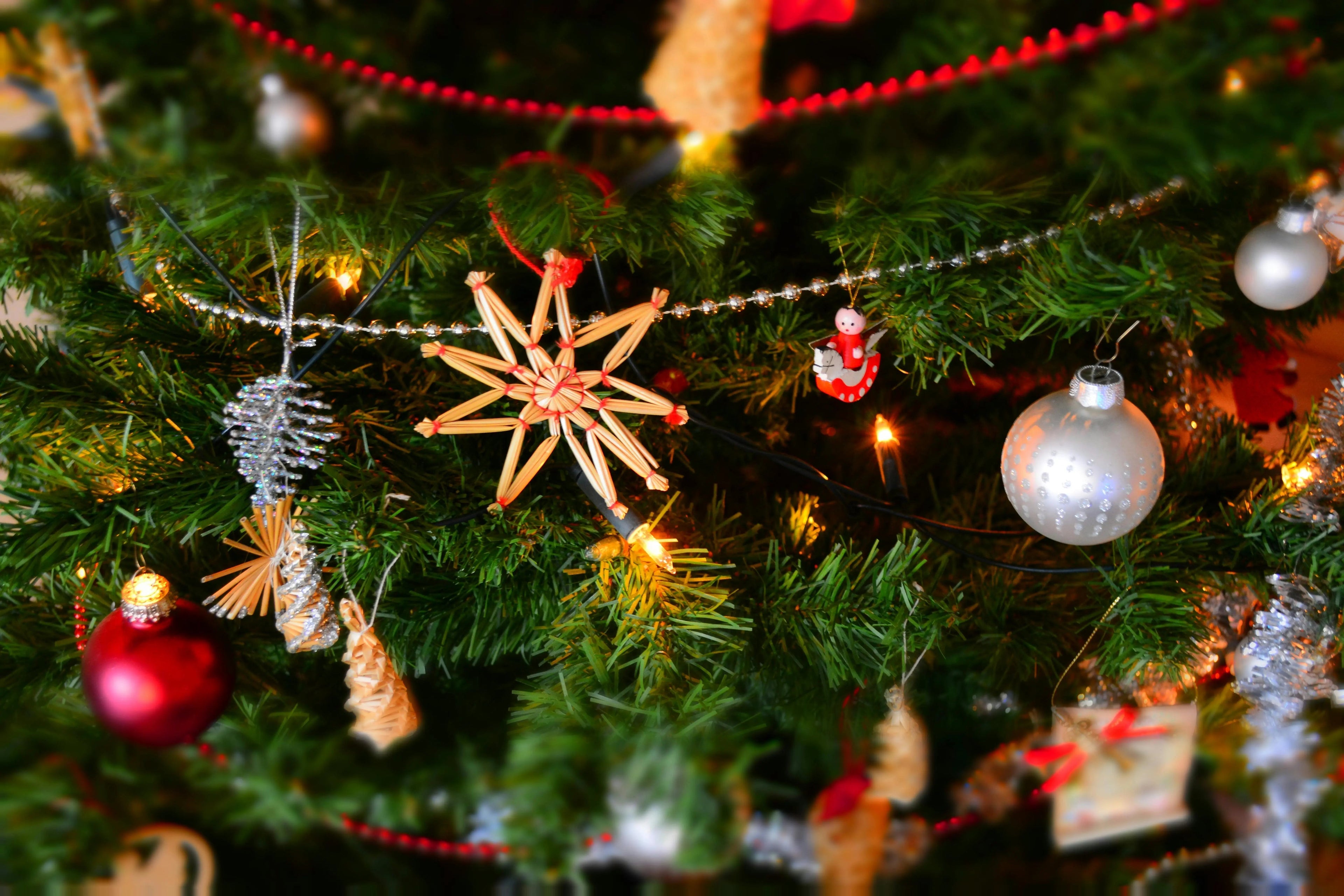 Season of Style: Christmas Collection by Novara Shop - Novara Shop