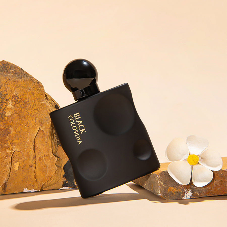 Temptation Perfume Lasts Long, Niche Perfume Novara Shop   Novara Shop