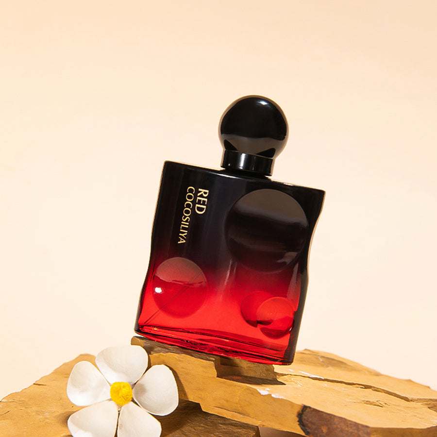 Temptation Perfume Lasts Long, Niche Perfume Novara Shop   Novara Shop