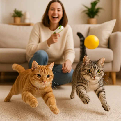 Cat Teaser Toy | Cat Toy Gun | Novara Shop