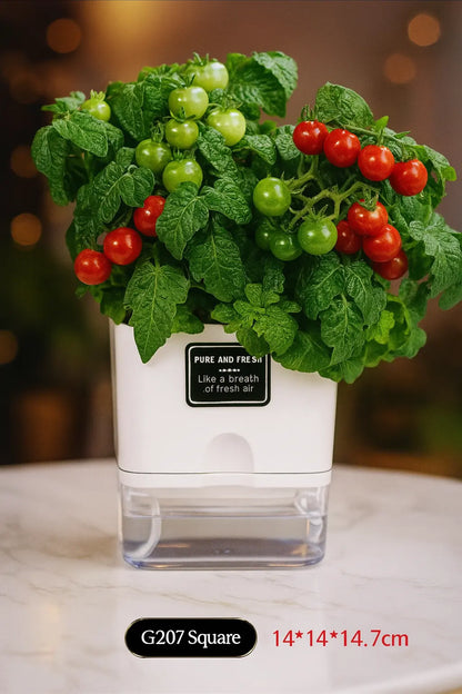 Self-watering plant pot with double-deck design and cotton rope wick