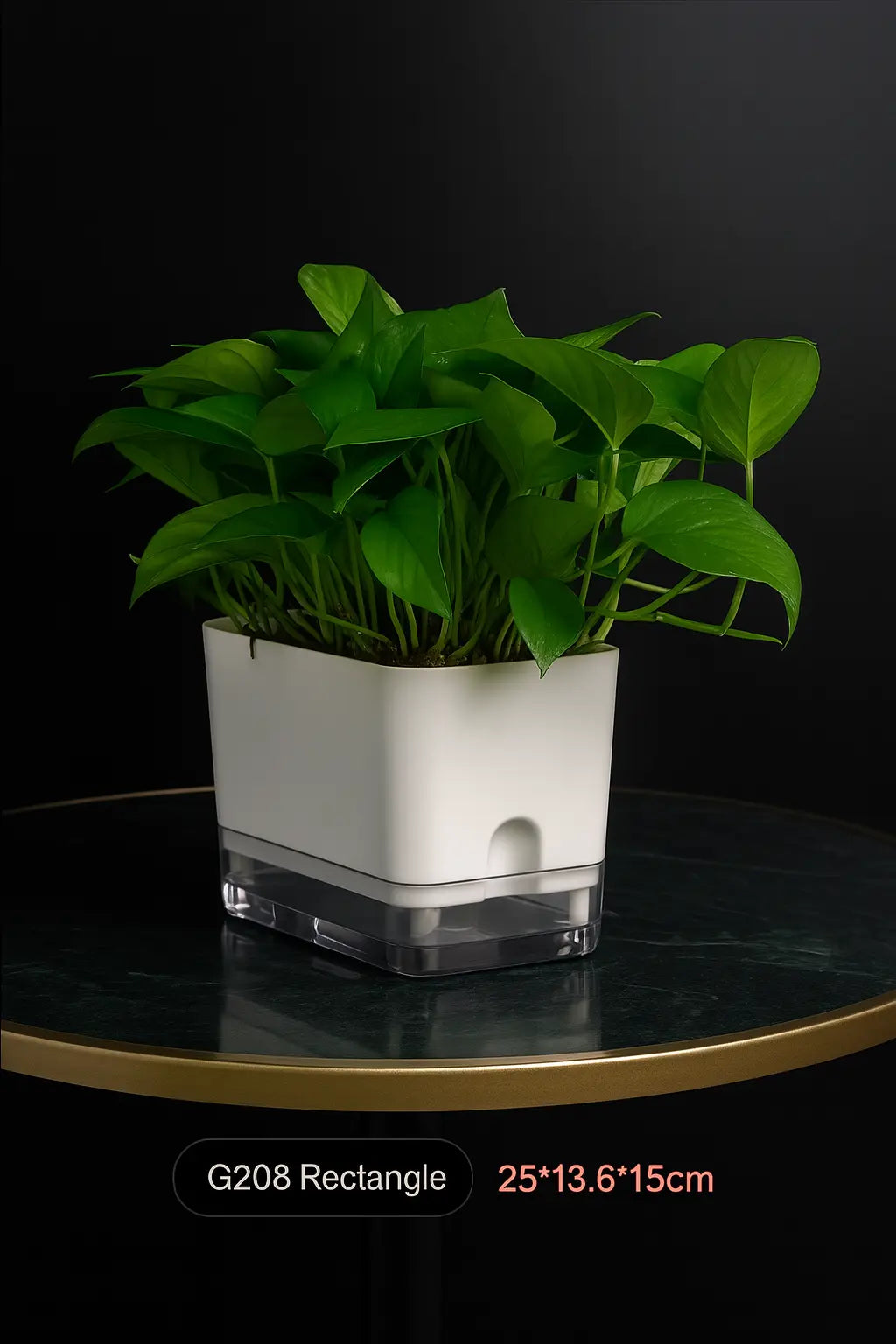 Self-watering plant pot with double-deck design and cotton rope wick
