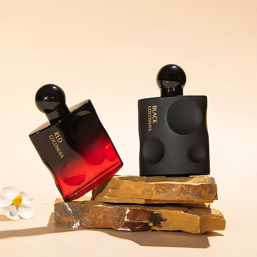 Temptation Perfume Lasts Long, Niche Perfume Novara Shop   Novara Shop