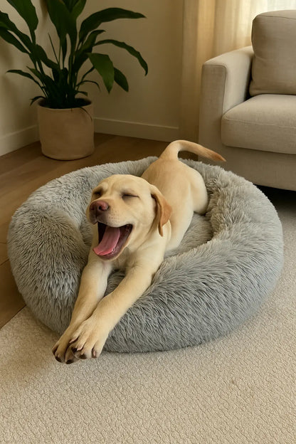 Round Dog Bed Winter Warm Cat Bed Plush Basket for Dog Washable Pet Bed for Small Medium Large Dog Sofa Cat - Novarashop