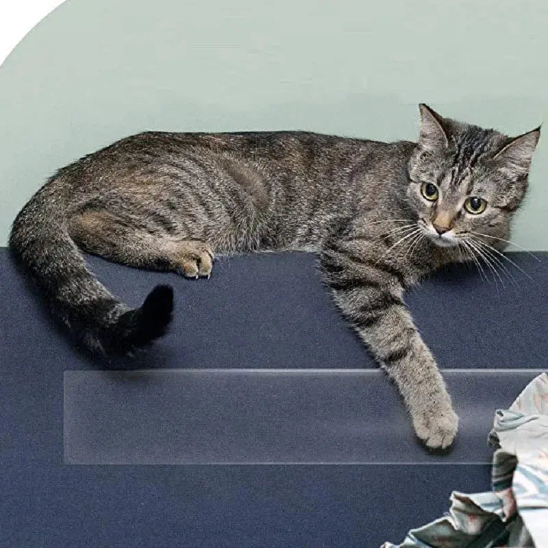 1 Roll Cat Scratching Guard Sofa Protector Pet Claw scratch Cat Training Tape Supplies Climb Anti-bite Home Decoration Novara Shop