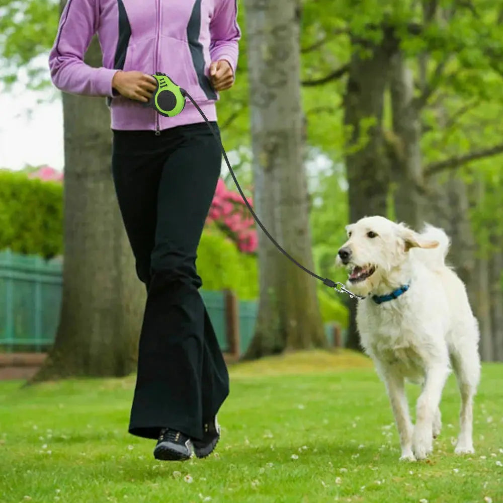 Retractable Dog Leash | Automatic  Dog Leash | Novara Shop