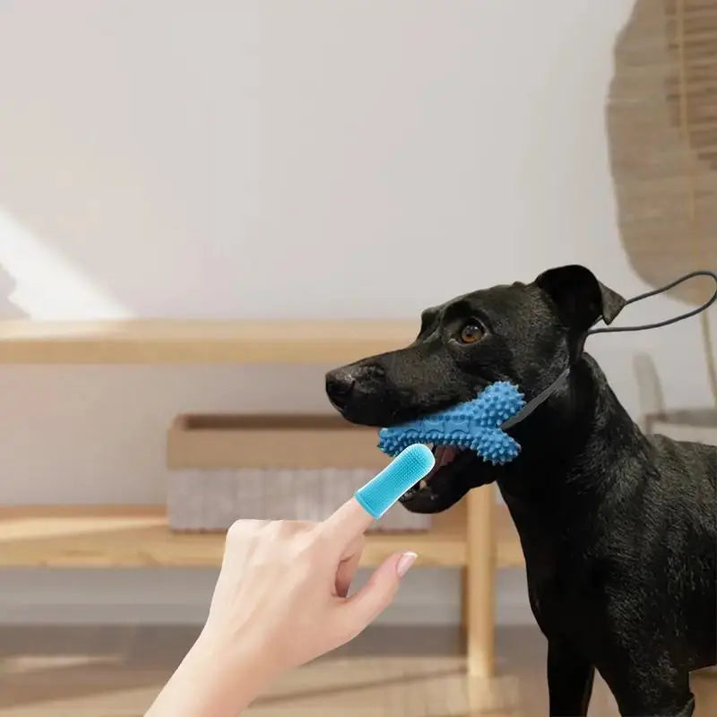 Finger Toothbrush For Dogs Cat Toothbrush Puppy Tooth Brushing Kit Dog Toothbrush Pet Supplies Dog Teeth Cleaning Wipes For Home