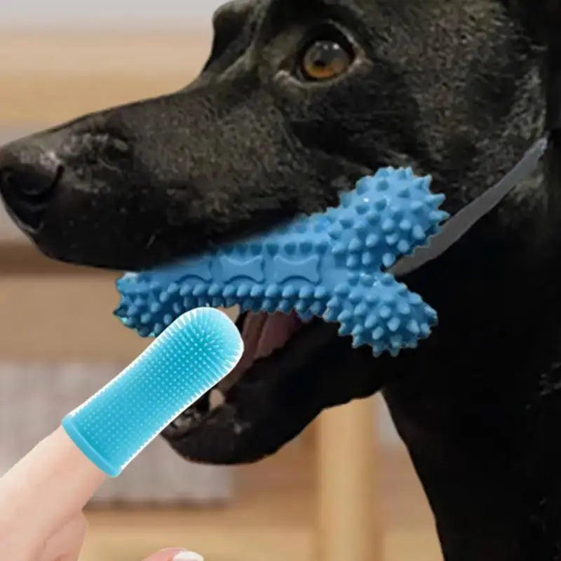 Finger Toothbrush For Dogs Cat Toothbrush Puppy Tooth Brushing Kit Dog Toothbrush Pet Supplies Dog Teeth Cleaning Wipes For Home