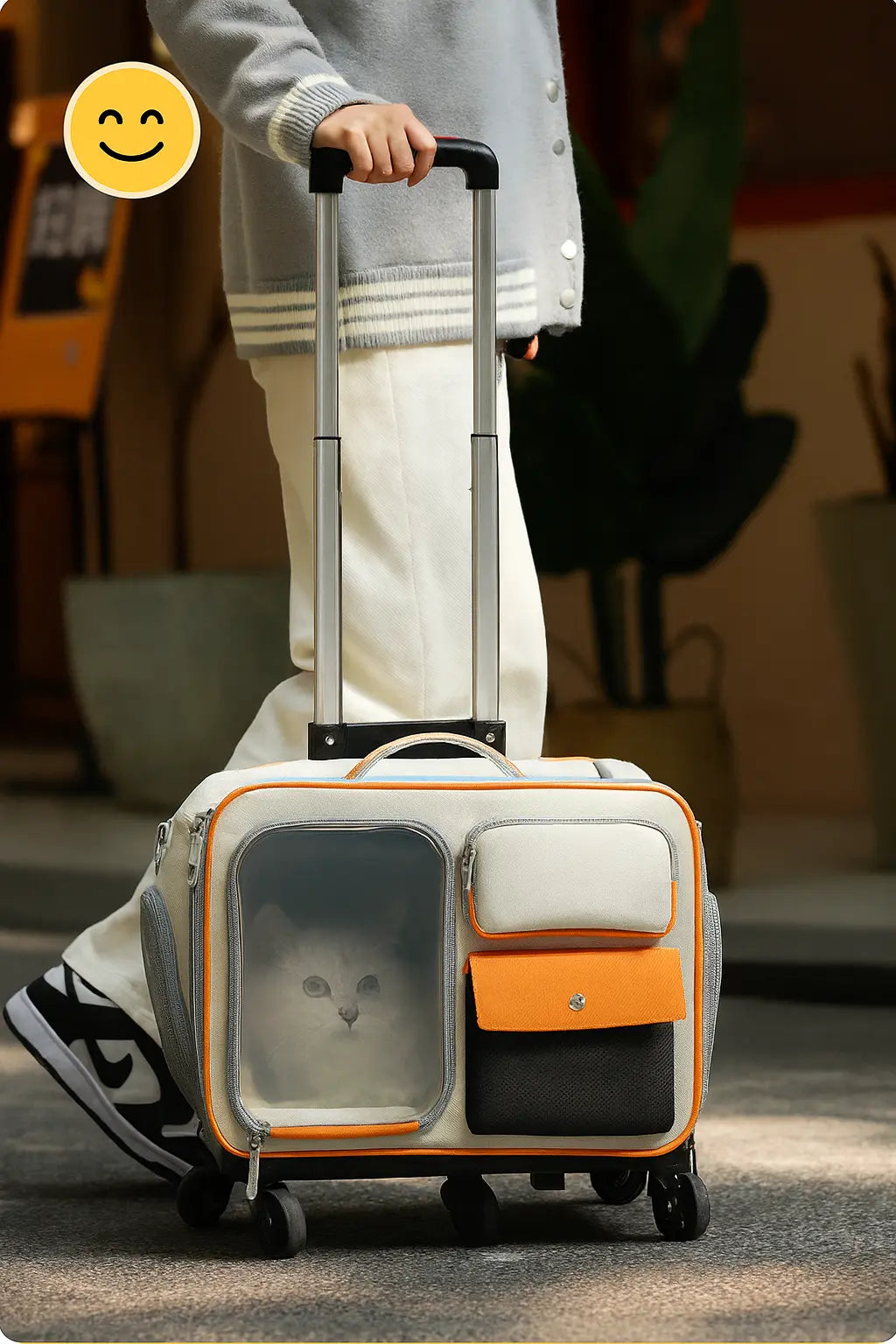 Cat Travel Bag | Cat Trolley Bag | Novara Shop