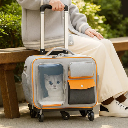 Cat Travel Bag | Cat Trolley Bag | Novara Shop