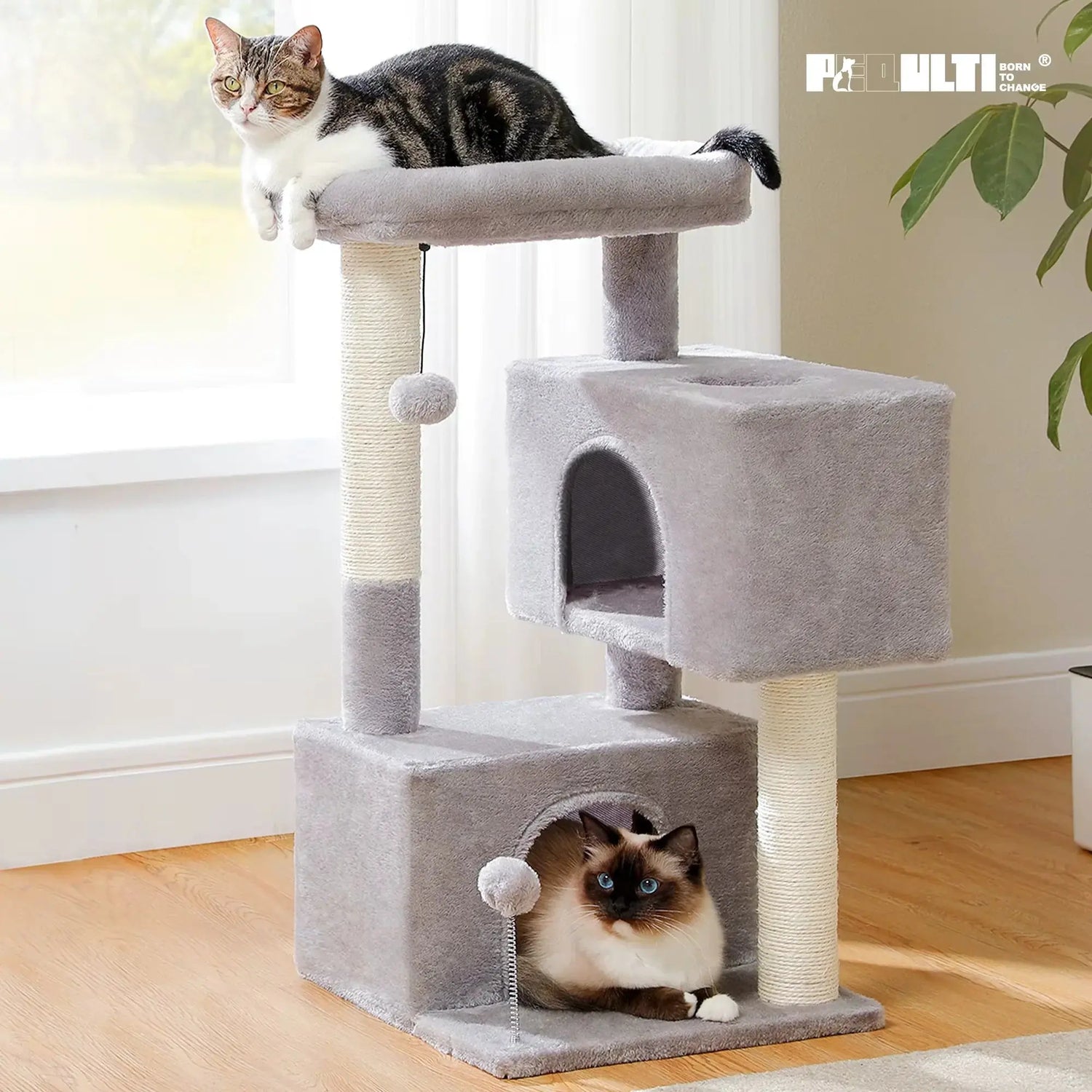 Large Cat Tree | Indoor Cat Tower | Novara Shop