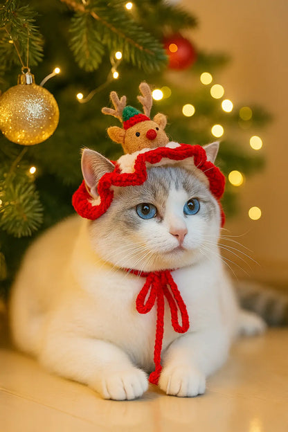 Crochet Pet Hat | Pet Christmas Hat | Novara Shop