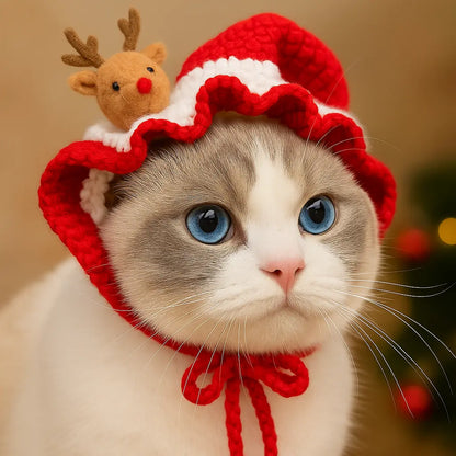 Crochet Pet Hat | Pet Christmas Hat | Novara Shop
