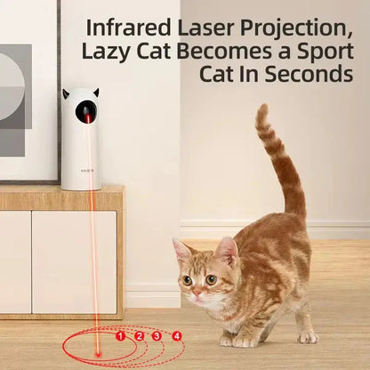 Automatic Cat Toy | Interactive Cat Toy | Novara Shop