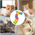 Cat Tunnels Large Cat Play Tunnel Indoor Foldable Bored Kitj