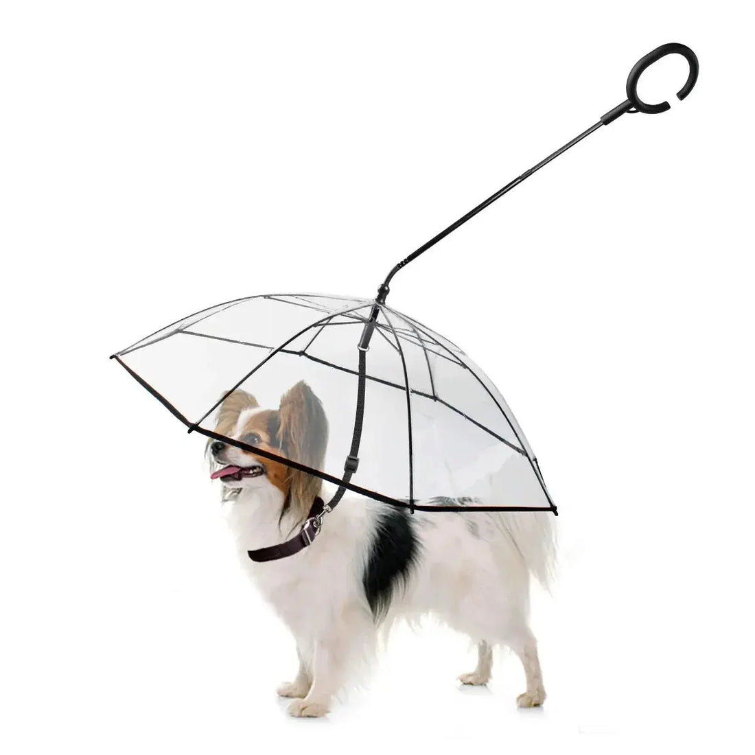 Dog Rain Umbrella | Transparent Dog Umbrella | Novara Shop