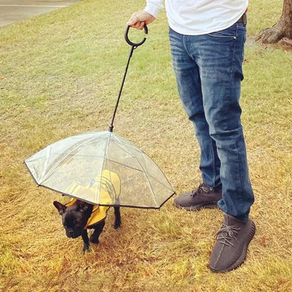 Dog Rain Umbrella | Transparent Dog Umbrella | Novara Shop