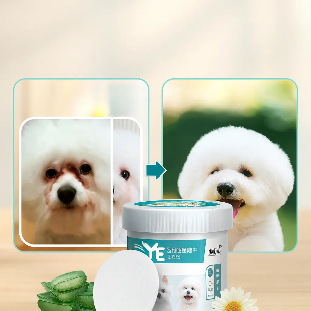 Pet Eye Wipes | Pet Eye Cleaning Pads | Novara Shop