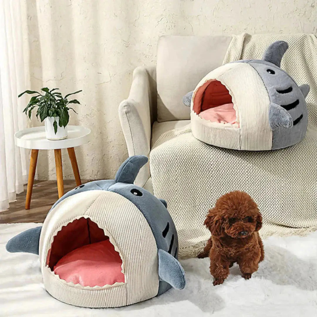 Pet Plush  Bed | Shark Shape Pet Bed | Novara Shop