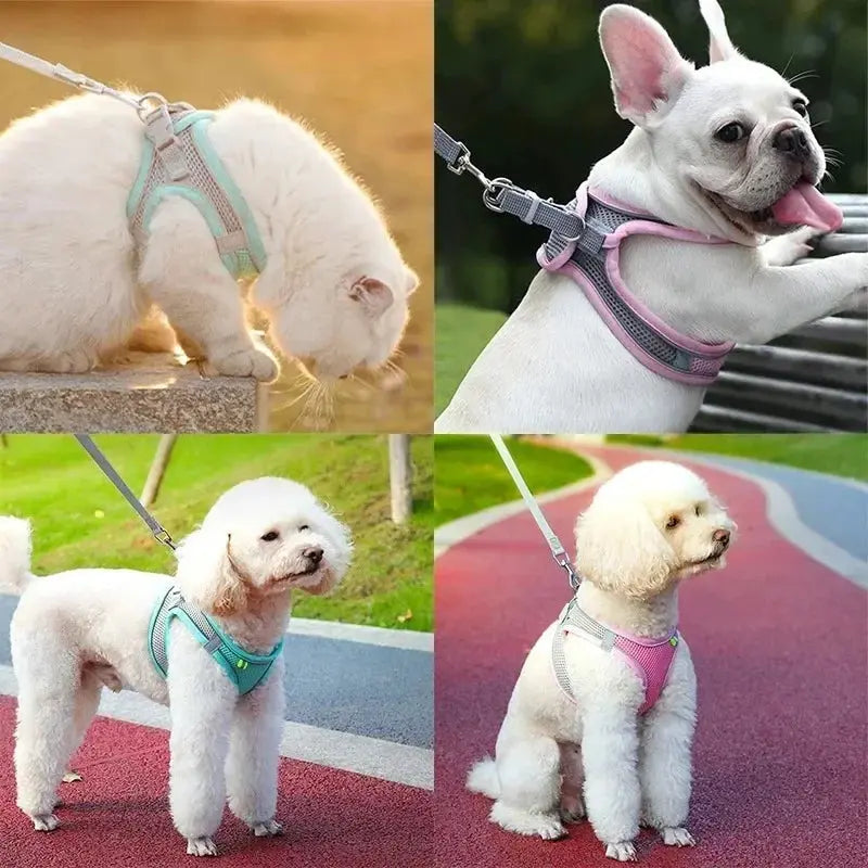 Cat Harness and Belt Set Breathable Accessories for Cats Pet