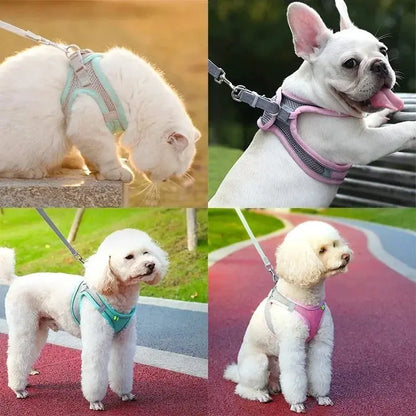 Cat Harness and Belt Set Breathable Accessories for Cats Pet