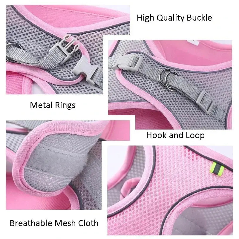Cat Harness and Belt Set Breathable Accessories for Cats Pet