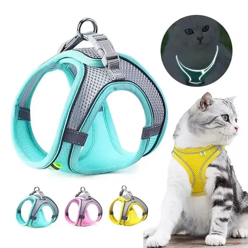 Cat Harness and Belt Set Breathable Accessories for Cats Pet