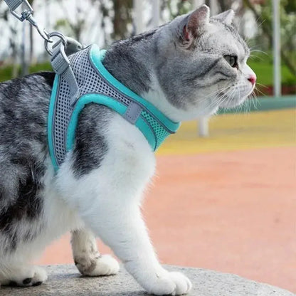 Cat Harness and Belt Set Breathable Accessories for Cats Pet