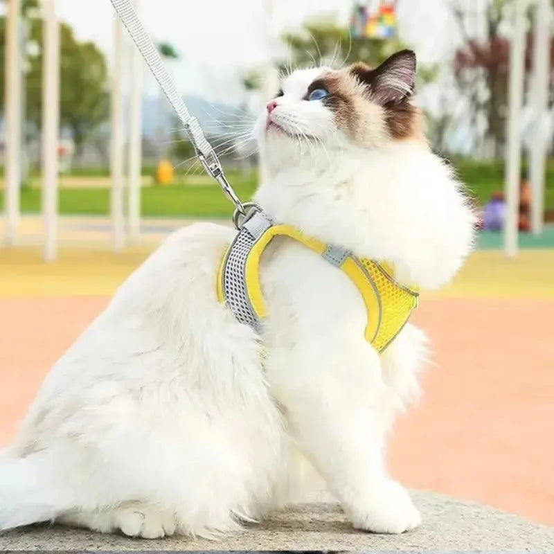 Cat Harness and Belt Set Breathable Accessories for Cats Pet