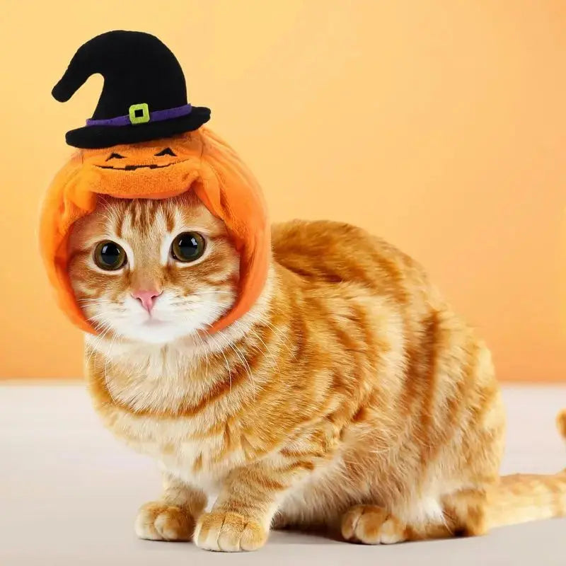 Halloween Cat Dog Costume Set Funny Party Outfit Hat Triangle Sc
