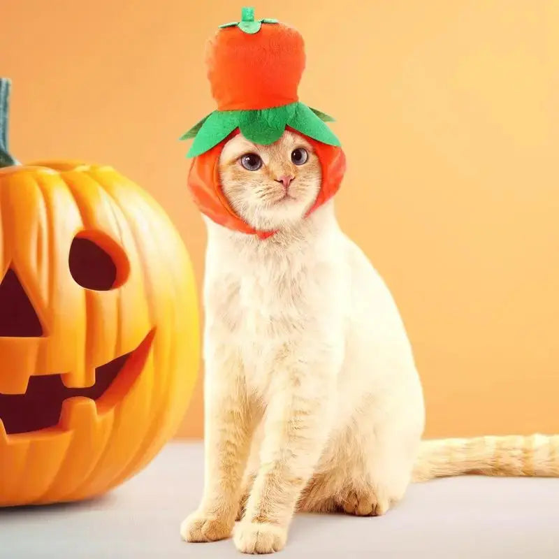 Halloween Cat Dog Costume Set Funny Party Outfit Hat Triangle Sc