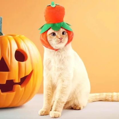 Halloween Cat Dog Costume Set Funny Party Outfit Hat Triangle Sc