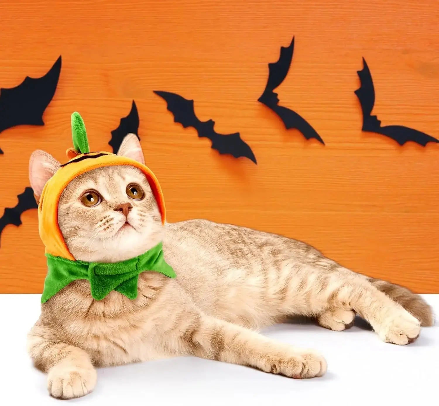Halloween Cat Dog Costume Set Funny Party Outfit Hat Triangle Sc
