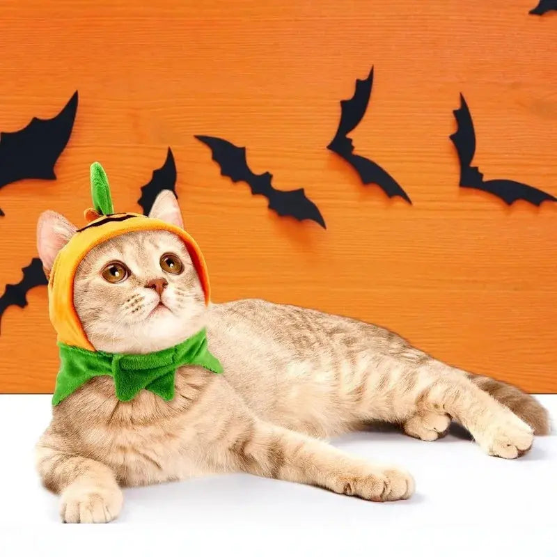Halloween Cat Dog Costume Set Funny Party Outfit Hat Triangle Sc
