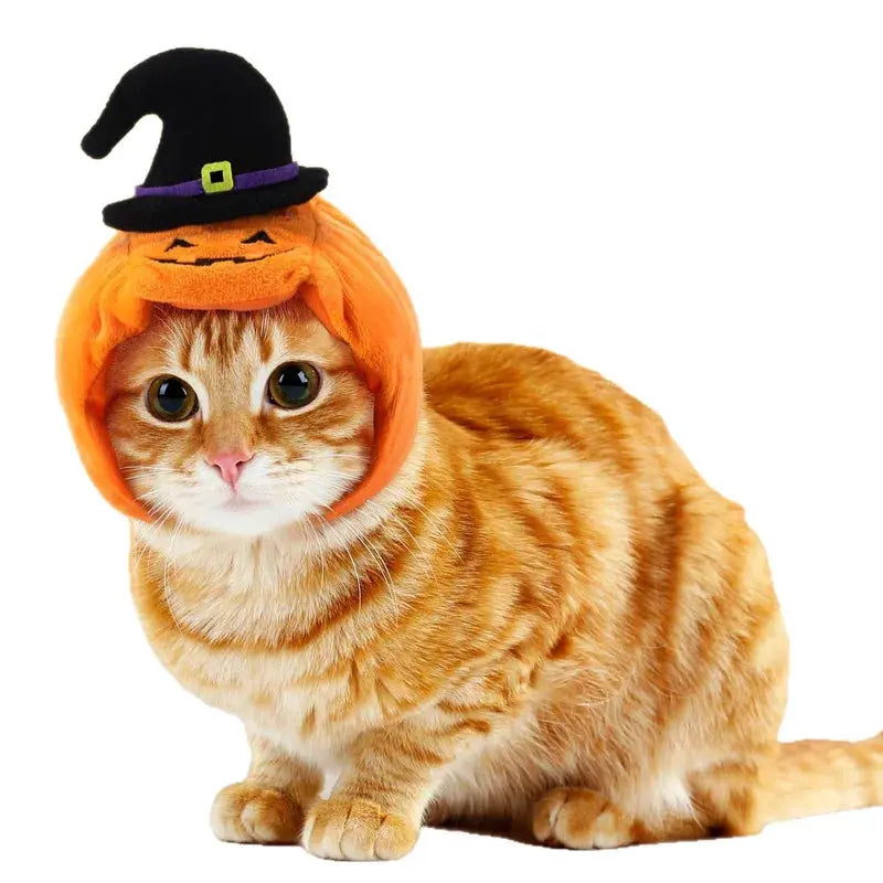 Halloween Cat Dog Costume Set Funny Party Outfit Hat Triangle Sc