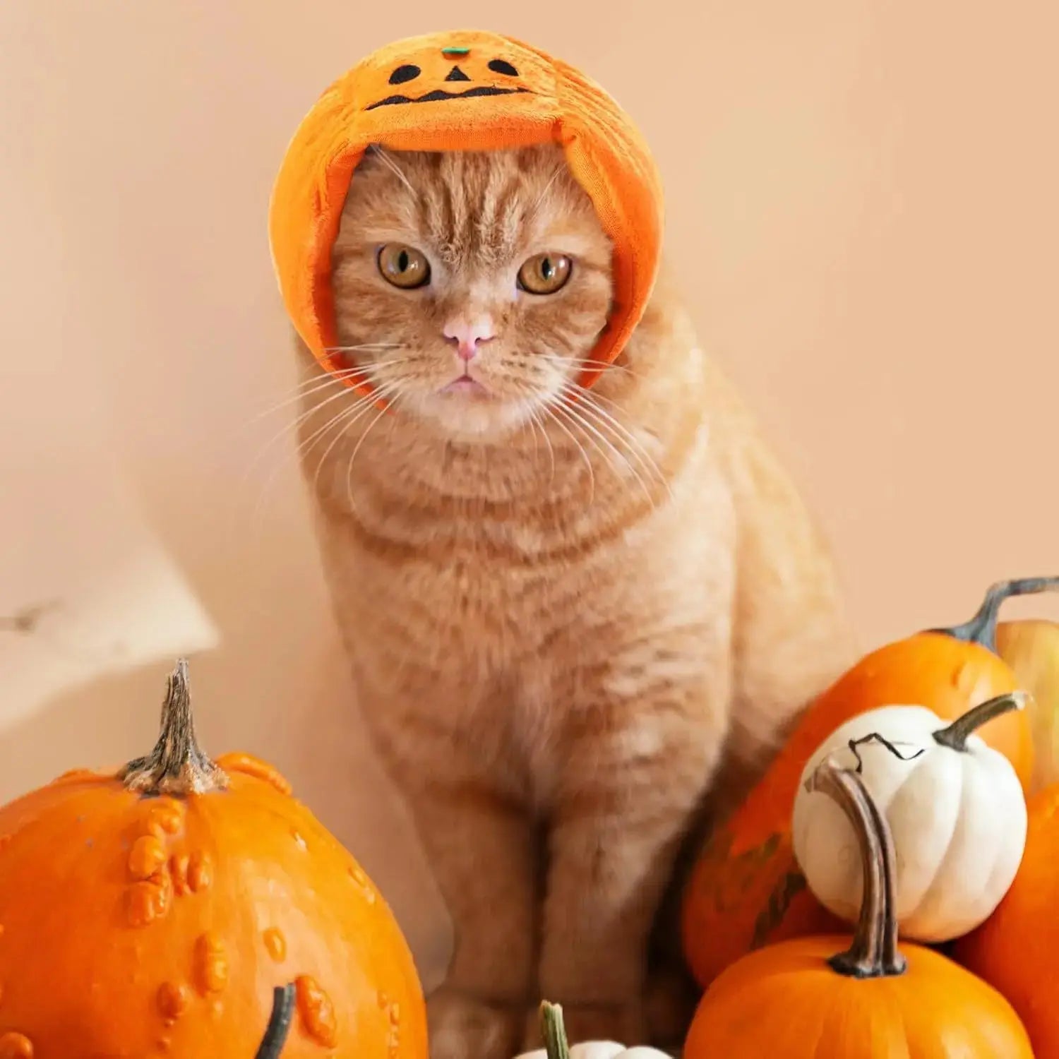 Halloween Cat Dog Costume Set Funny Party Outfit Hat Triangle Sc