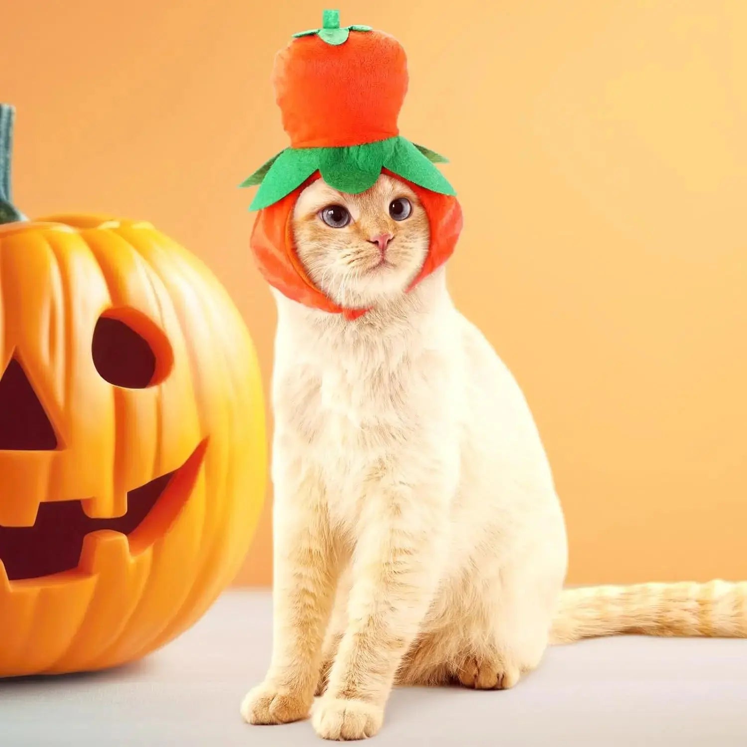 Halloween Cat Dog Costume Set Funny Party Outfit 