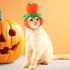 Halloween Cat Dog Costume Set Funny Party Outfit 