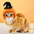 Halloween Cat Dog Costume Set Funny Party Outfit 
