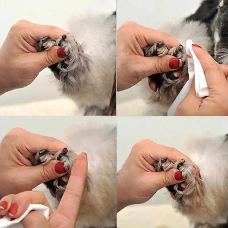 Pets Styptic Powder Safe For Dogs Cats Blood Stopper Home Pr