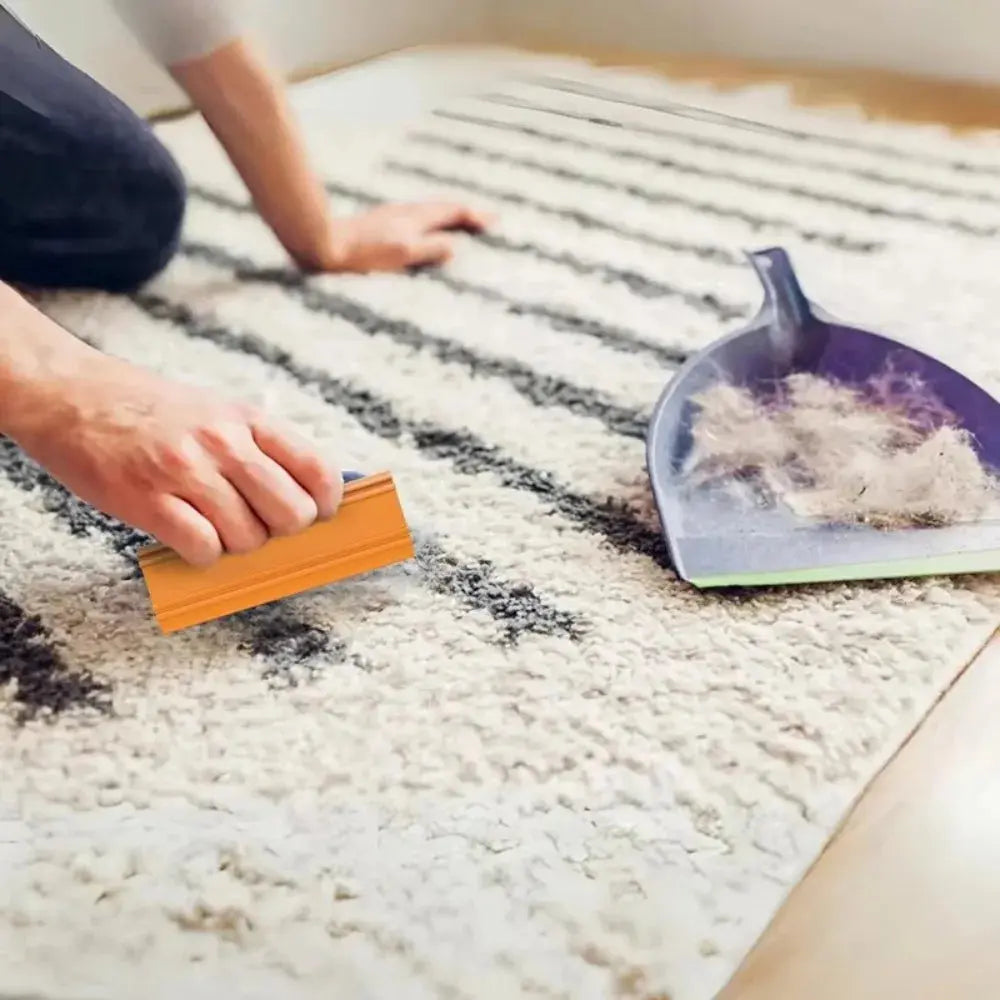 1pc Multifunctional Portable Pet Hair Carpet Scraper Mini Ea