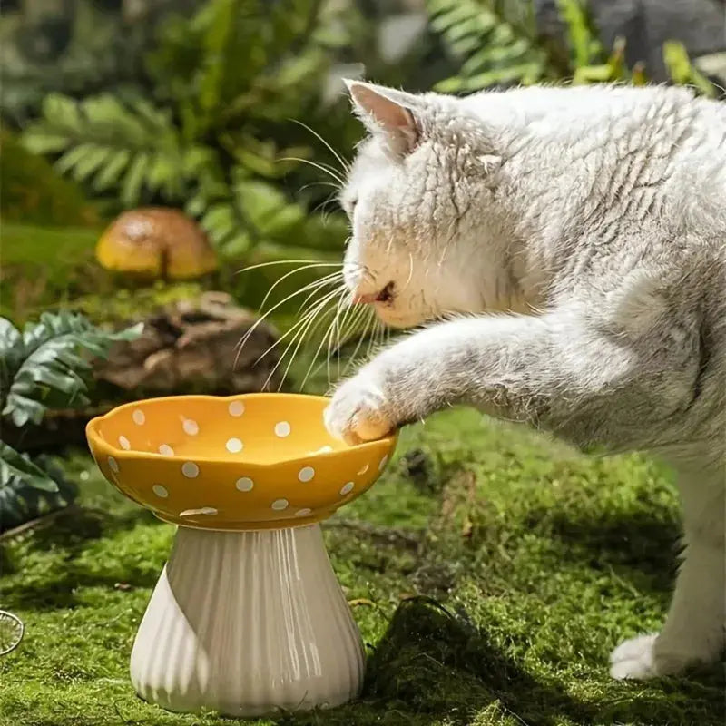 Mushroom Cat Bowl Ceramic Elevated Shelf Pet Supplies Feedin