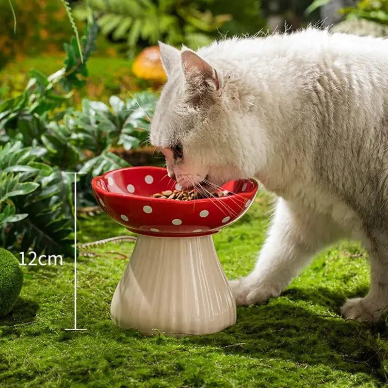 Mushroom Cat Bowl Ceramic Elevated Shelf Pet Supplies Feedin