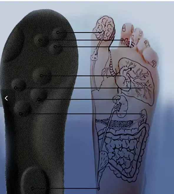 2Pairs/4Pairs/8pairs High Elasticity Latex Sport Insoles Soft Shoe Pads Arch Support Orthotic Insoles Breathable Deodorant Insole