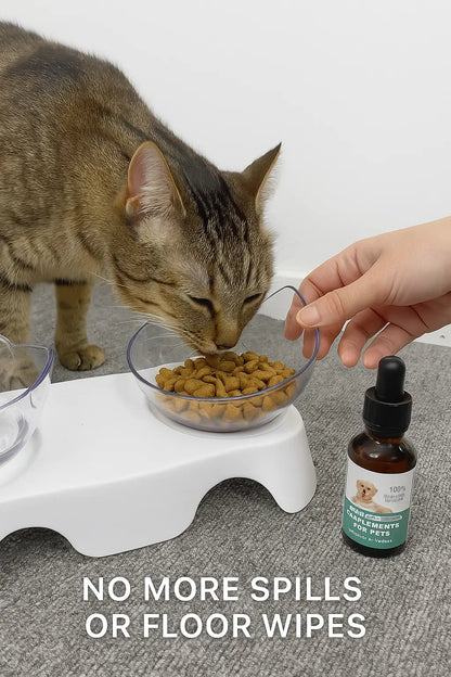 Non-Slip Double Cat Bowl Dog Bowl With Stand Pet Feeding Cat Water Bowl For Cats Food Pet Bowls For Dogs Feeder Product Supplies - Novarashop