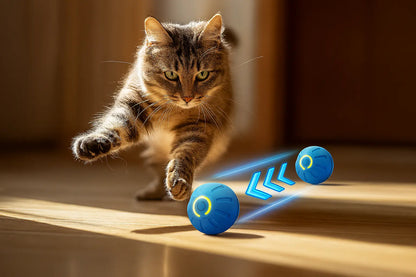 Smart Dog Toy Ball Electronic Interactive Pet Toy Moving Ball USB Automatic Moving Bouncing for Puppy Birthday Gift Cat Products - Novarashop