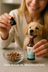Dog Nutritional Supplement Pet Body Nutrition Support Dog Food Supplements For Health 30ml Supplement For Dogs To Support Body